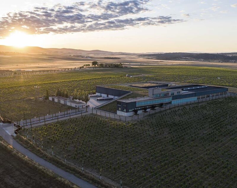 bodegas habla