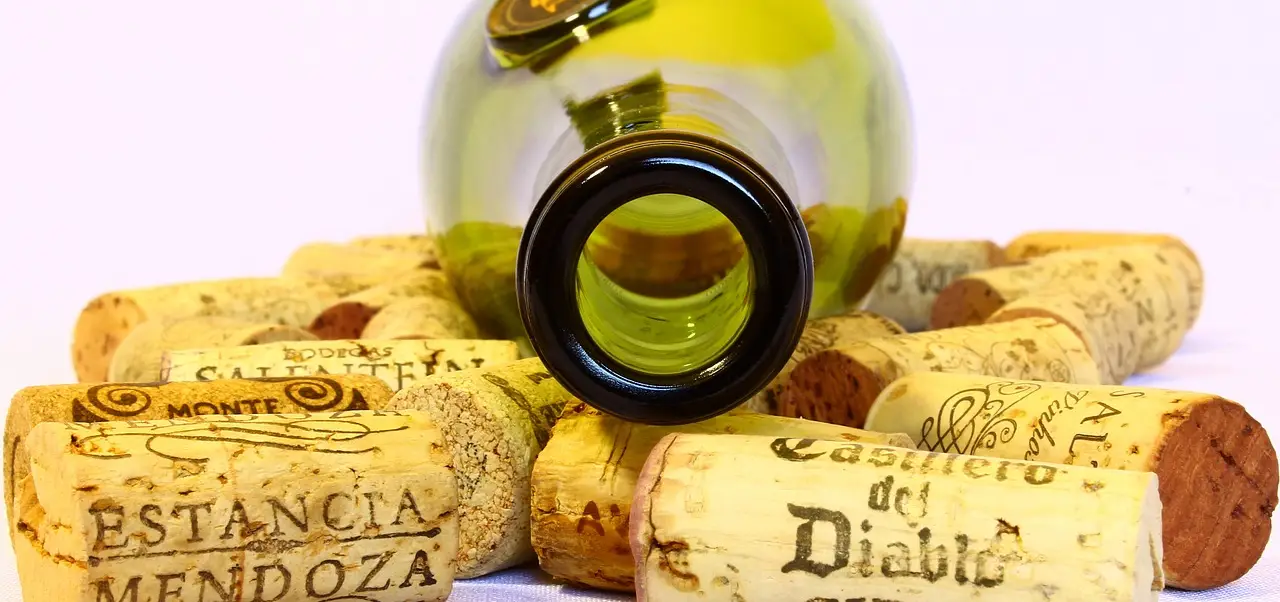 como abrir botella de vino sin abridor