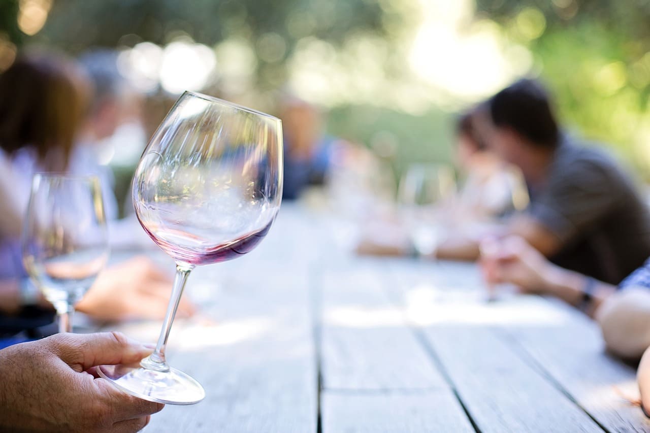 vinos para principiantes